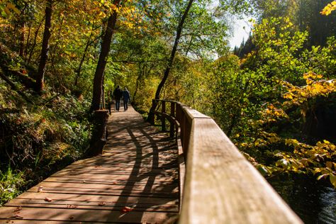 nature walk