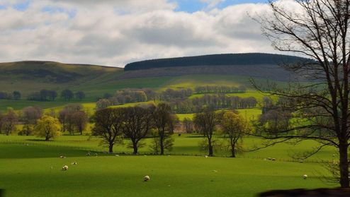 view from window 